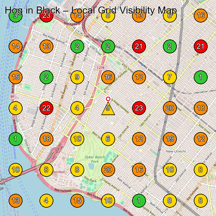 Hog in Black Food Manufacturer GeoGrid ranking map for Brooklyn NY